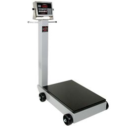 Detecto 5852F-205 Portable Digital Platform Scale with 205 Indicator