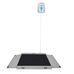HealthOMeter 2700KG Dual Ramp Wheelchair Scale w/ XL Platform-KG Only